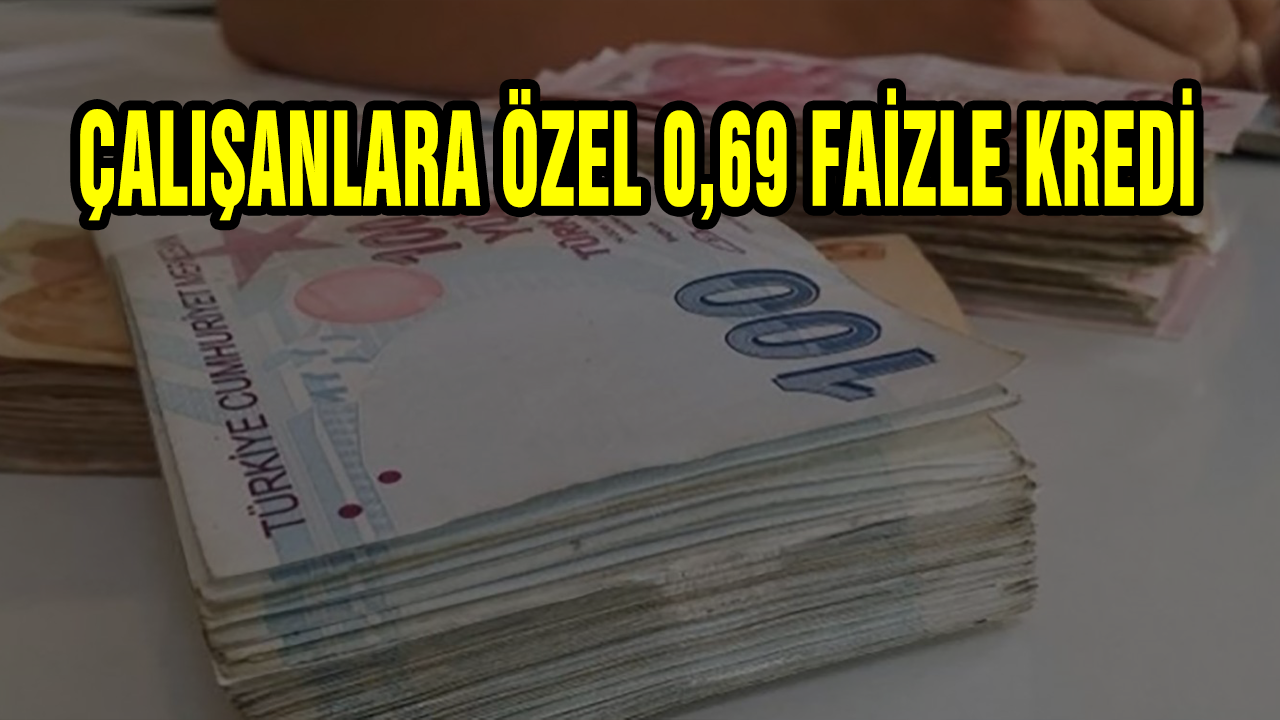 0.69 Faizli Kredi Tek Şart Çalışan Olmak Başka Şart Yok