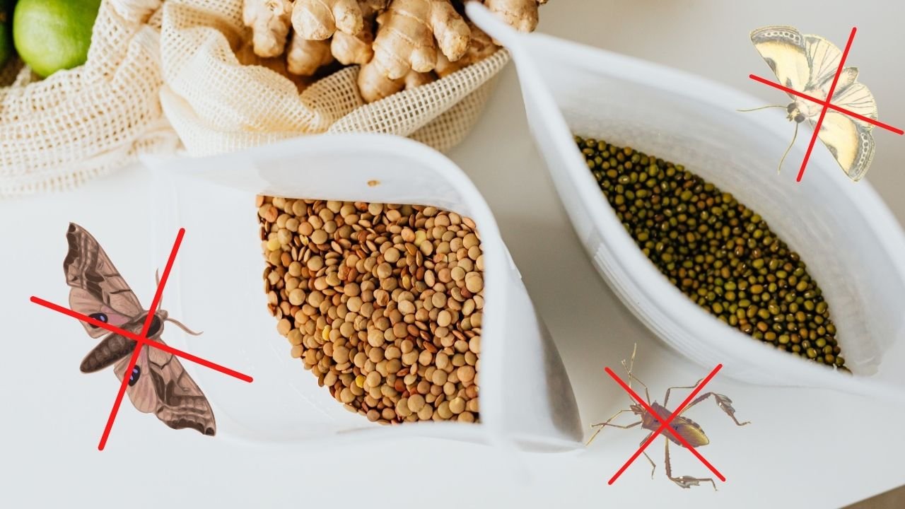 Yiyeceklerdeki güve ve böcek sorununu bu doğal yöntemlerle çözebilmek mümkün