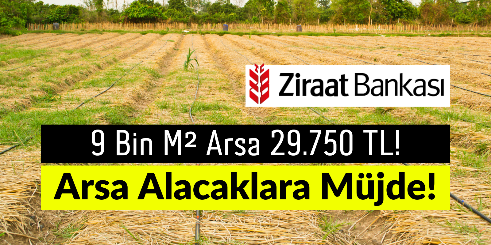 Arsa Alacaklara Müjde! 9000 m² Arsa Ziraat Bankası Tarafından 29.750 TL’ye Satılıyor!