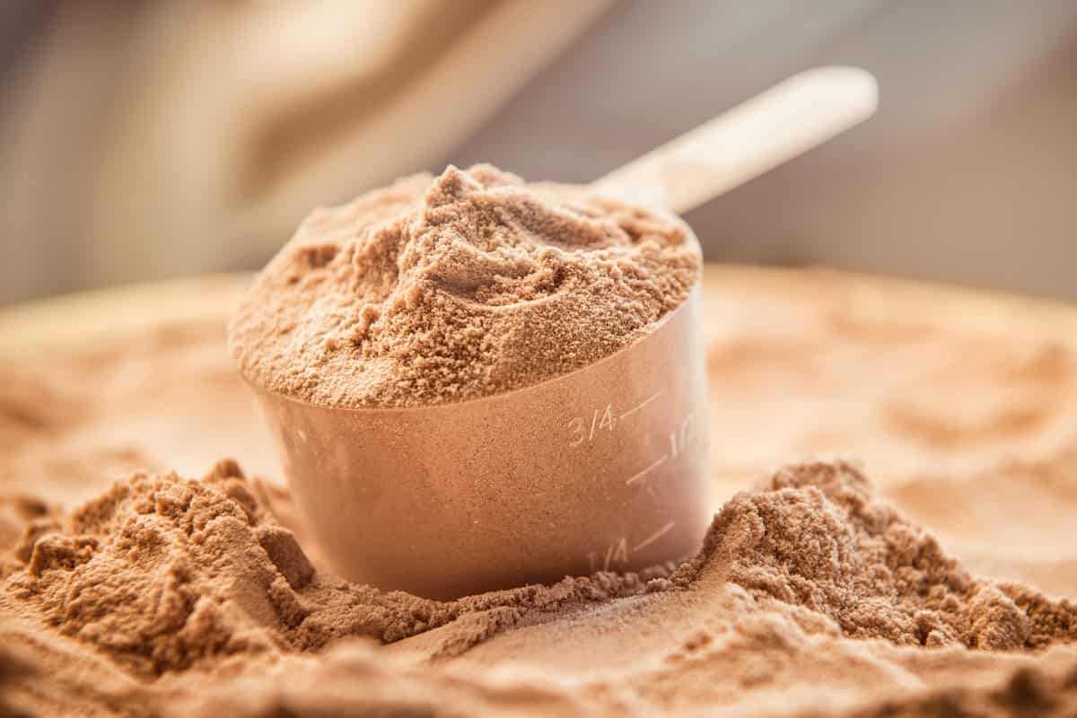 Protein tozu zararlımı?