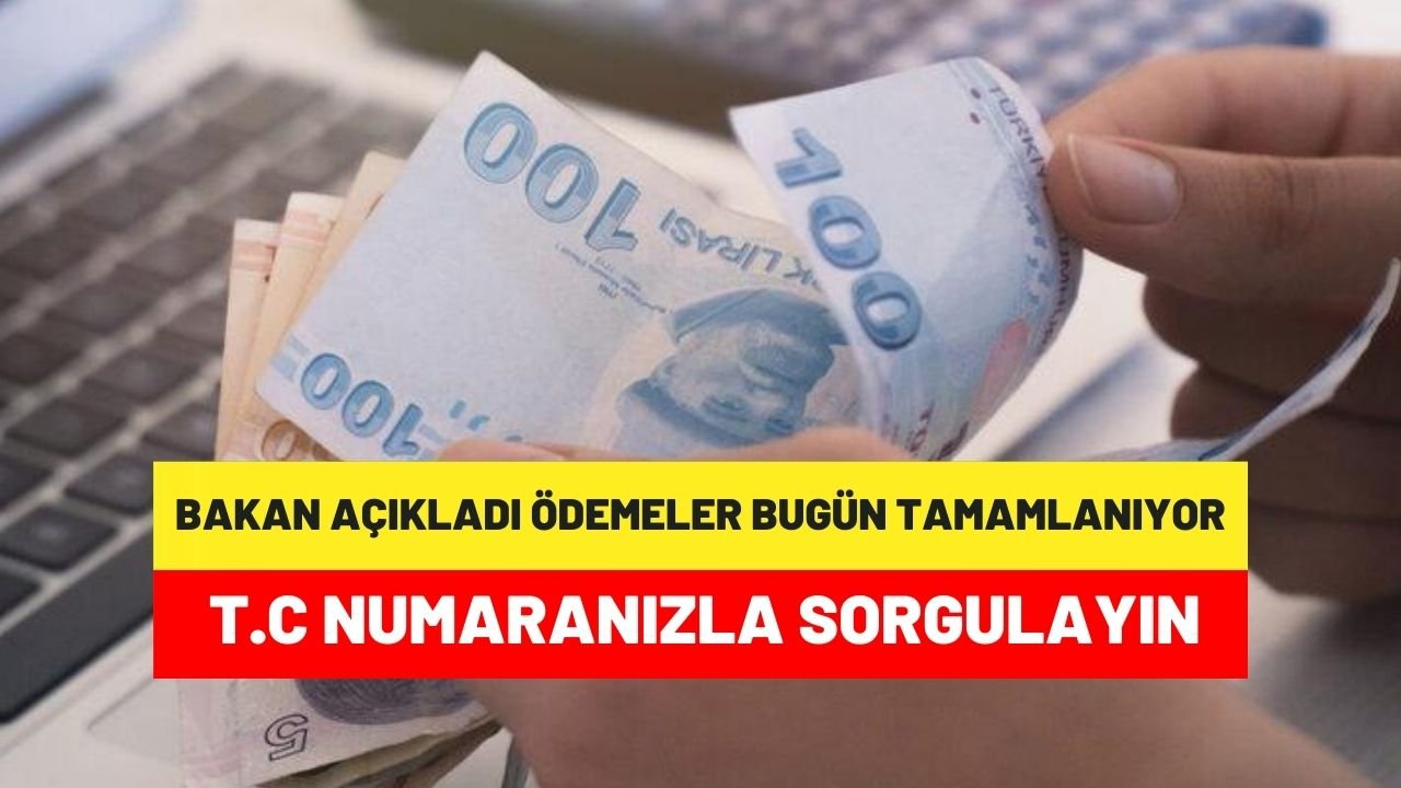Ödemeler verilmeye başladı T.C kimlik no ile sorgulayın son gün bugün