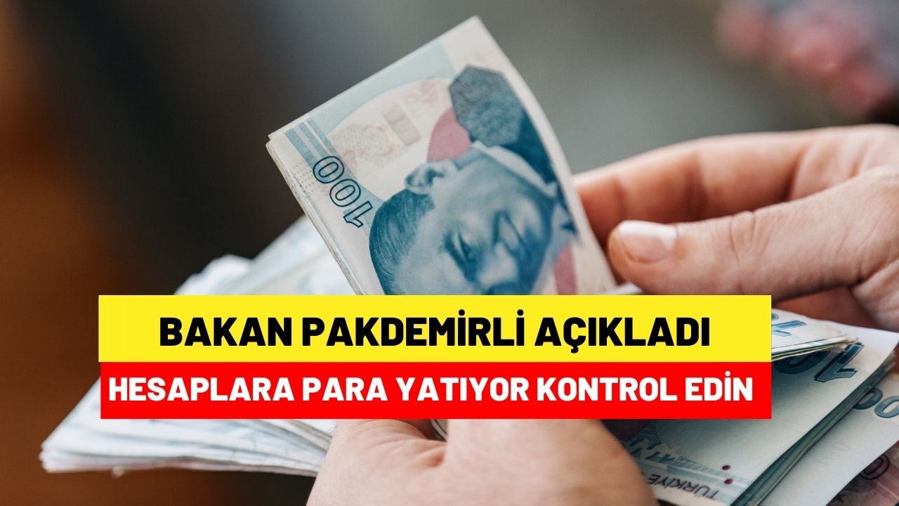 Hesaplara para yatmaya başladı Bakan açıkladı hesabınızı kontrol edin