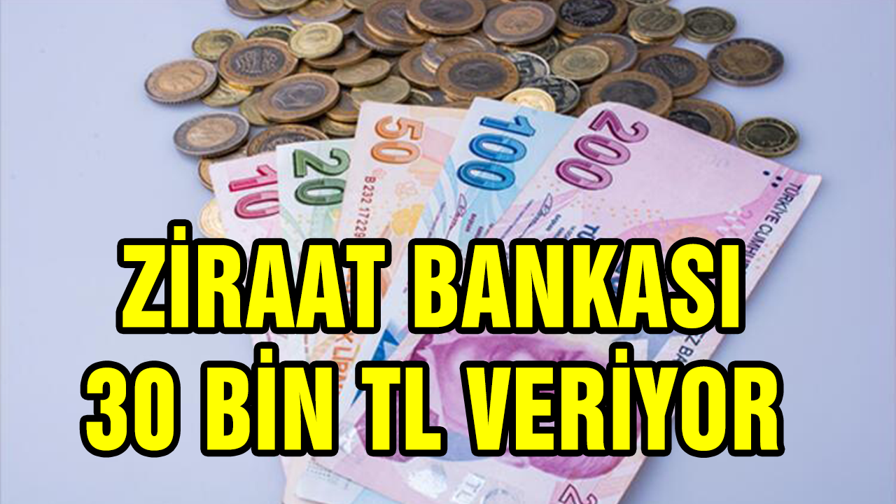 Ziraat Bankası bünyesinde verilecek olan 30.000 TL’lik faizsiz kredinin detayları belli oldu