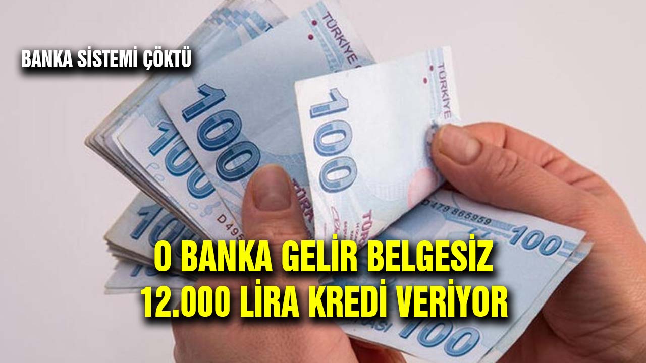 Gelir Belgesiz tam 12.000 lira kredi veriliyor! Banka sistemleri çöküntüye uğradı
