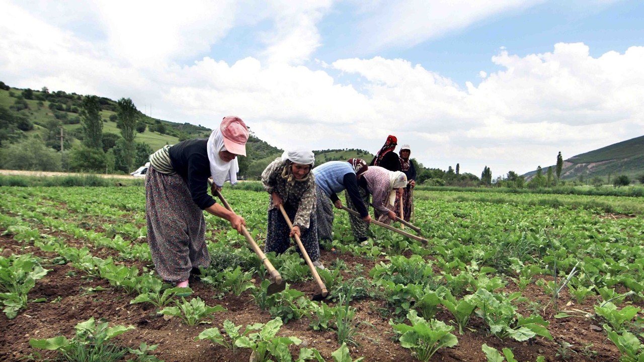 Çiftçi iş bırakacak gıda krizi kapıya dayanıyor