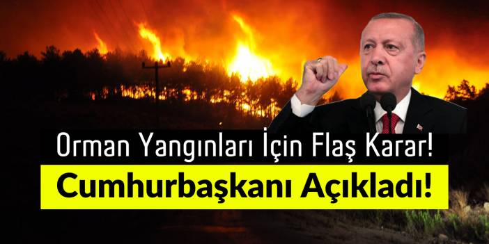 Orman Yangınları ile İlgili Flaş Karar! Cumhurbaşkanı Erdoğan Açıkladı!