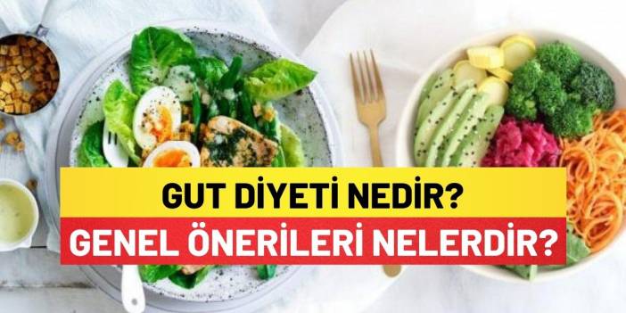 Gut Diyeti Nedir, Genel Önerileri Nelerdir?